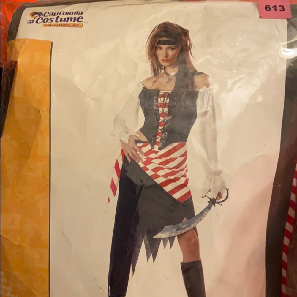 Pirate costume